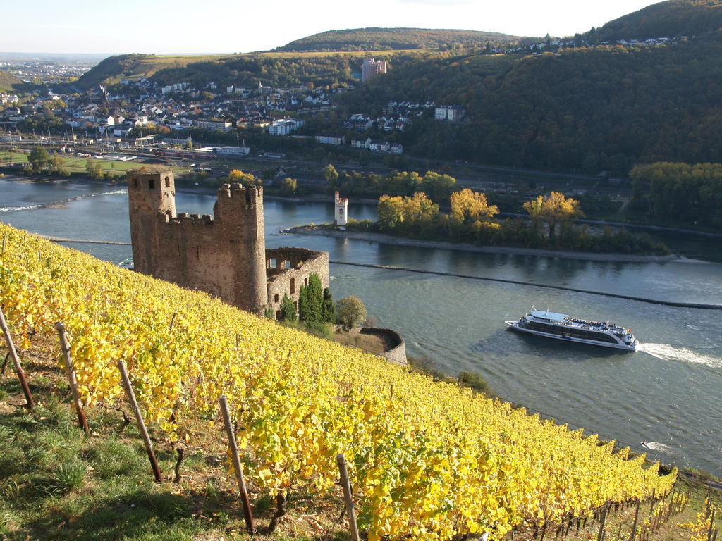 Hotel Lindenwirt Rüdesheim am Rhein Εξωτερικό φωτογραφία